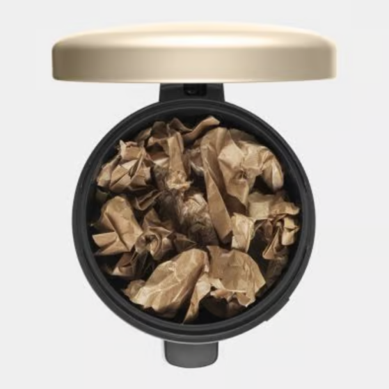 Brabantia NewIcon prügikast pedaaliga 30L, Metallic Gold - Image 4